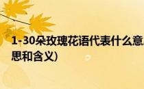 1-30朵玫瑰花语代表什么意思(1-30朵玫瑰花语代表什么意思和含义)