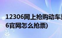 12306网上抢购动车票火车票攻略(铁路12306官网怎么抢票)