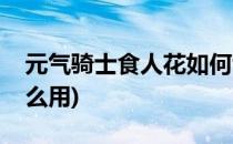 元气骑士食人花如何切换(元气骑士食人花怎么用)