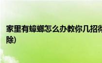 家里有蟑螂怎么办教你几招彻底消灭蟑螂(家里有蟑螂怎么消除)