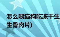 怎么喂猫狗吃冻干生骨肉(怎么喂猫狗吃冻干生骨肉片)