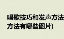 唱歌技巧和发声方法有哪些(唱歌技巧和发声方法有哪些图片)