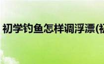 初学钓鱼怎样调浮漂(初学钓鱼怎样调浮漂好)