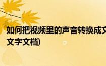 如何把视频里的声音转换成文字(如何把视频里的声音转换成文字文档)