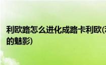 利欧路怎么进化成路卡利欧(利欧路怎么进化成路卡利欧漆黑的魅影)