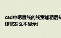 cad中吧直线的线宽加粗后却不显示粗线仍是细线(cad加粗线宽怎么不显示)