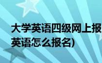 大学英语四级网上报名流程和经验(大学四级英语怎么报名)