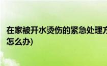 在家被开水烫伤的紧急处理方法父母必须看(在家被开水烫伤怎么办)