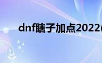 dnf瞎子加点2022(dnf瞎子加点攻略)