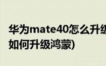 华为mate40怎么升级鸿蒙系统(华为Mate40如何升级鸿蒙)