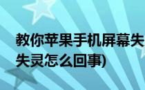 教你苹果手机屏幕失灵怎么办(苹果手机屏幕失灵怎么回事)