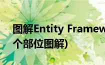 图解Entity Framework 7(胰腺在人体的哪个部位图解)