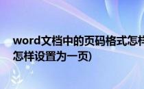 word文档中的页码格式怎样设置(word文档中的页码格式怎样设置为一页)