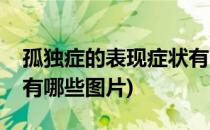 孤独症的表现症状有哪些(孤独症的表现症状有哪些图片)