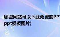 哪些网站可以下载免费的PPT模板(哪些网站可以下载免费的ppt模板图片)