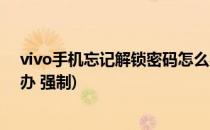 vivo手机忘记解锁密码怎么办(vivo手机忘记解锁密码怎么办 强制)