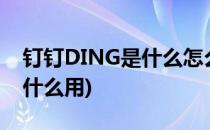 钉钉DING是什么怎么使用(钉钉里的ding有什么用)