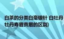 白茶的分类白毫银针 白牡丹 贡眉 寿眉(福鼎白茶白毫银针白牡丹寿眉贡眉的区别)