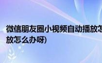 微信朋友圈小视频自动播放怎么办(微信朋友圈小视频自动播放怎么办呀)