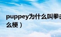 puppey为什么叫拳击手（puppey拳击手什么梗）