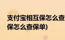 支付宝相互保怎么查看保险条款(支付宝相互保怎么查保单)