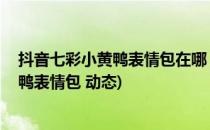 抖音七彩小黄鸭表情包在哪 怎么获得小黄鸭表情(七彩小黄鸭表情包 动态)