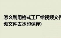 怎么利用格式工厂给视频文件去水印(怎么利用格式工厂给视频文件去水印保存)