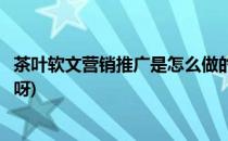 茶叶软文营销推广是怎么做的(茶叶软文营销推广是怎么做的呀)