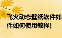 飞火动态壁纸软件如何使用(飞火动态壁纸软件如何使用教程)