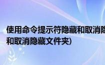 使用命令提示符隐藏和取消隐藏文件夹(使用命令提示符隐藏和取消隐藏文件夹)