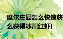 摩尔庄园怎么快速获取冰川红虾(摩尔庄园怎么获得冰川红虾)