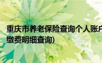 重庆市养老保险查询个人账户(重庆市养老保险查询个人账户缴费明细查询)