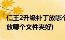 仁王2升级补丁放哪个文件夹(仁王2升级补丁放哪个文件夹好)