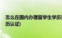 怎么在国内办理留学生学历认证 (怎么在国内办理留学生学历认证)