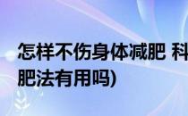 怎样不伤身体减肥 科学过午不食(过午不食减肥法有用吗)