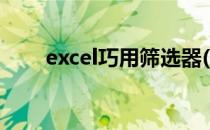 excel巧用筛选器(excel的筛选功能)