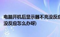 电脑开机后显示器不亮没反应怎么办(电脑开机后显示器不亮没反应怎么办呀)