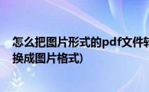 怎么把图片形式的pdf文件转换成Word(如何把pdf文件转换成图片格式)