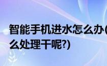 智能手机进水怎么办(智能手机进水怎么办?怎么处理干呢?)