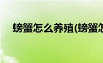 螃蟹怎么养殖(螃蟹怎么养殖方法在池塘)