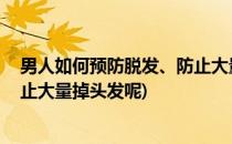 男人如何预防脱发、防止大量掉头发(男人如何预防脱发,防止大量掉头发呢)