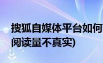 搜狐自媒体平台如何查看阅读量(搜狐号文章阅读量不真实)