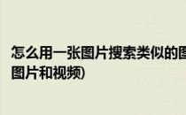 怎么用一张图片搜索类似的图片(怎么用一张图片搜索类似的图片和视频)