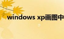 windows xp画图中如何放大和缩小图片