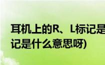 耳机上的R、L标记是什么意思(耳机上的r,l标记是什么意思呀)