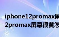 iphone12promax屏幕发黄怎么办(iphone12promax屏幕很黄怎么办)