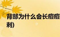 背部为什么会长痘痘(背部为什么会长痘痘粉刺)