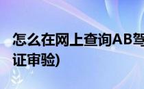 怎么在网上查询AB驾驶证年审免予审验(驾驶证审验)