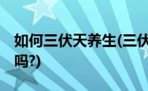 如何三伏天养生(三伏天怎样养生,你准备好了吗?)