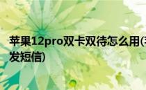 苹果12pro双卡双待怎么用(苹果12pro双卡双待怎么用副卡发短信)